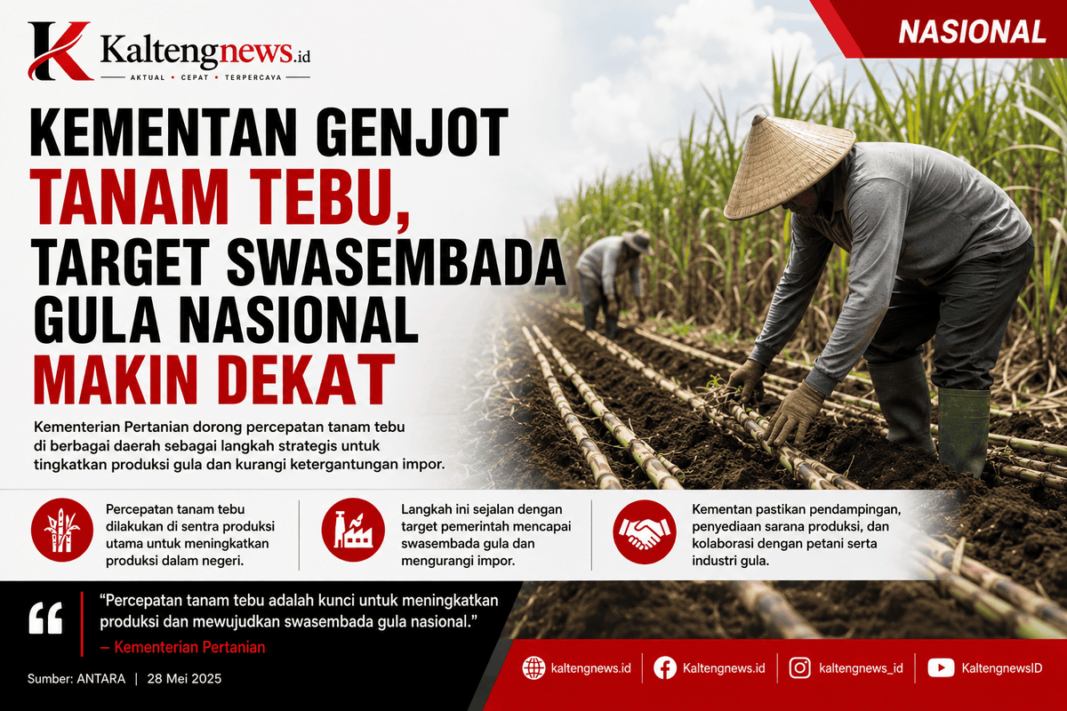Kementan Percepat Tanam Tebu, Perkuat Langkah Menuju Swasembada Gula Nasional
