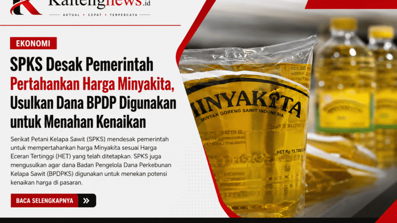 SPKS Desak Harga MinyaKita Tetap Stabil, Usulkan Dana BPDP Digunakan Menahan Kenaikan