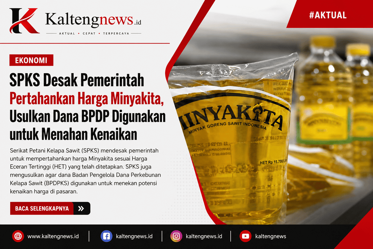 SPKS Desak Harga MinyaKita Tetap Stabil, Usulkan Dana BPDP Digunakan Menahan Kenaikan