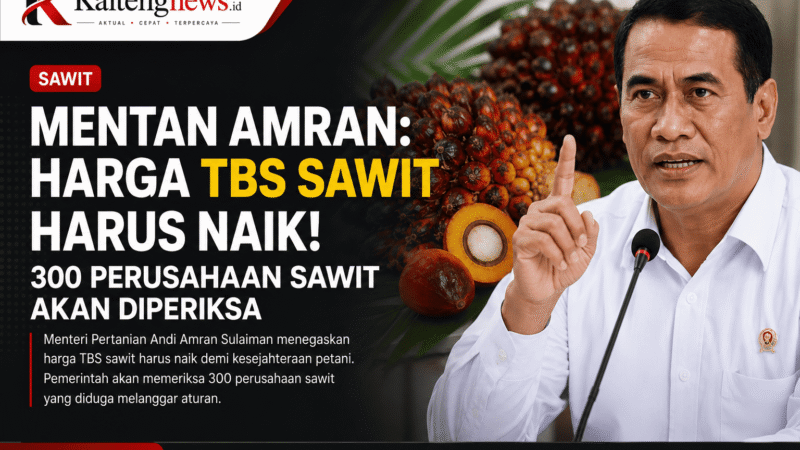 Mentan Amran Tegaskan Harga TBS Sawit Harus Naik, 300 Perusahaan Bakal Diperiksa