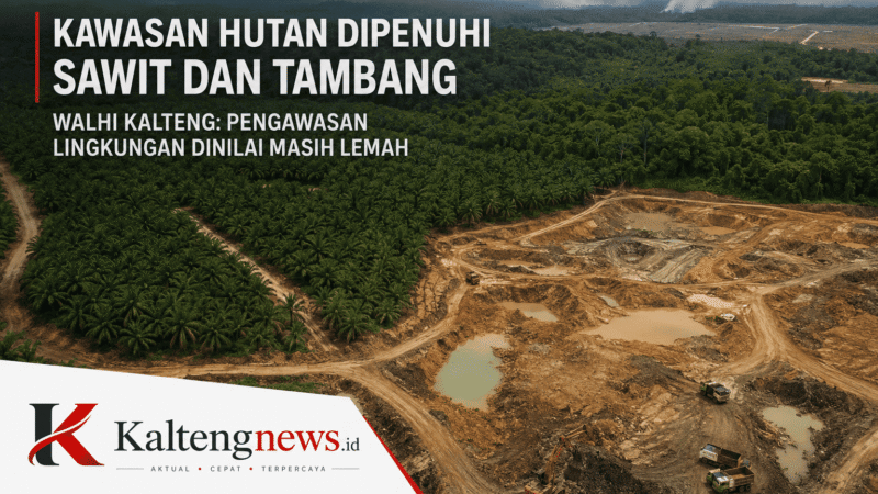 Kawasan Hutan Dipenuhi Sawit dan Tambang, WALHI Kalteng Nilai Pengawasan Lingkungan Masih Lemah