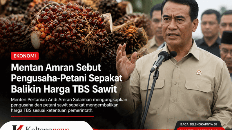 Pengusaha dan Petani Sepakat Pulihkan Harga TBS Sawit, Pemerintah Siap Tindak Perusahaan yang Membandel