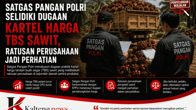 Satgas Pangan Polri Selidiki Dugaan Kartel Harga TBS Sawit, Ratusan Perusahaan Jadi Sorotan