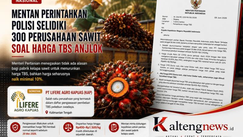 Mentan Minta Polisi Selidiki 300 Perusahaan Sawit, PT Lifere Agro Kapuas Masuk Daftar Pemantauan Harga TBS