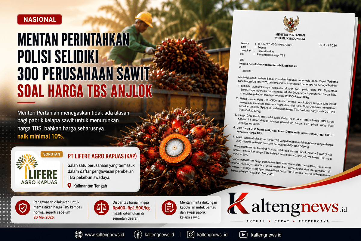 Mentan Minta Polisi Selidiki 300 Perusahaan Sawit, PT Lifere Agro Kapuas Masuk Daftar Pemantauan Harga TBS