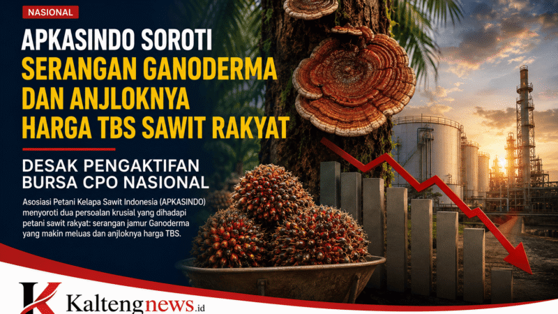 APKASINDO Soroti Ganoderma dan Harga TBS, Desak Bursa CPO Nasional Diaktifkan