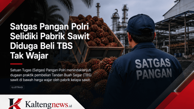 Satgas Pangan Polri Selidiki Dugaan Pembelian TBS di Bawah Harga Wajar, Industri Sawit Kalteng Diminta Transparan