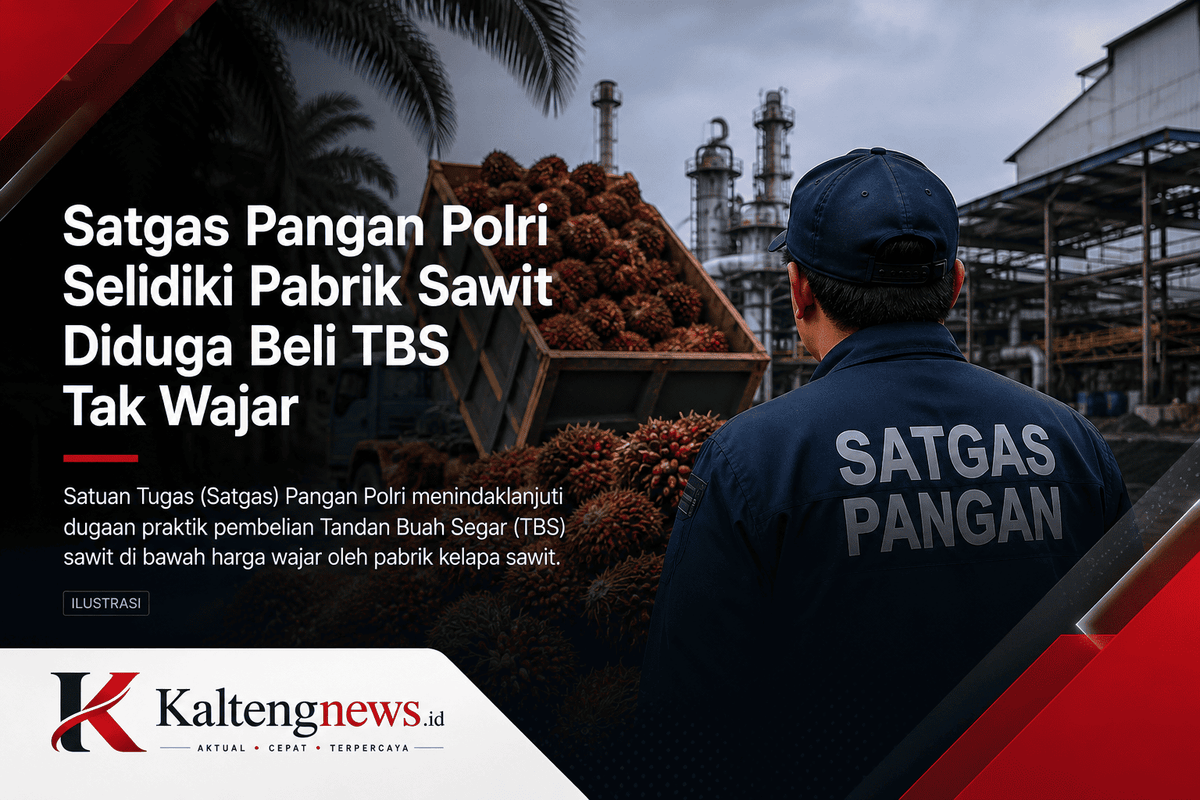 Satgas Pangan Polri Selidiki Dugaan Pembelian TBS di Bawah Harga Wajar, Industri Sawit Kalteng Diminta Transparan