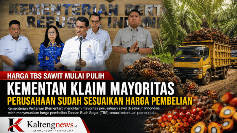Harga TBS Sawit Mulai Pulih, Kementan Klaim Mayoritas Perusahaan Sudah Sesuaikan Harga Pembelian
