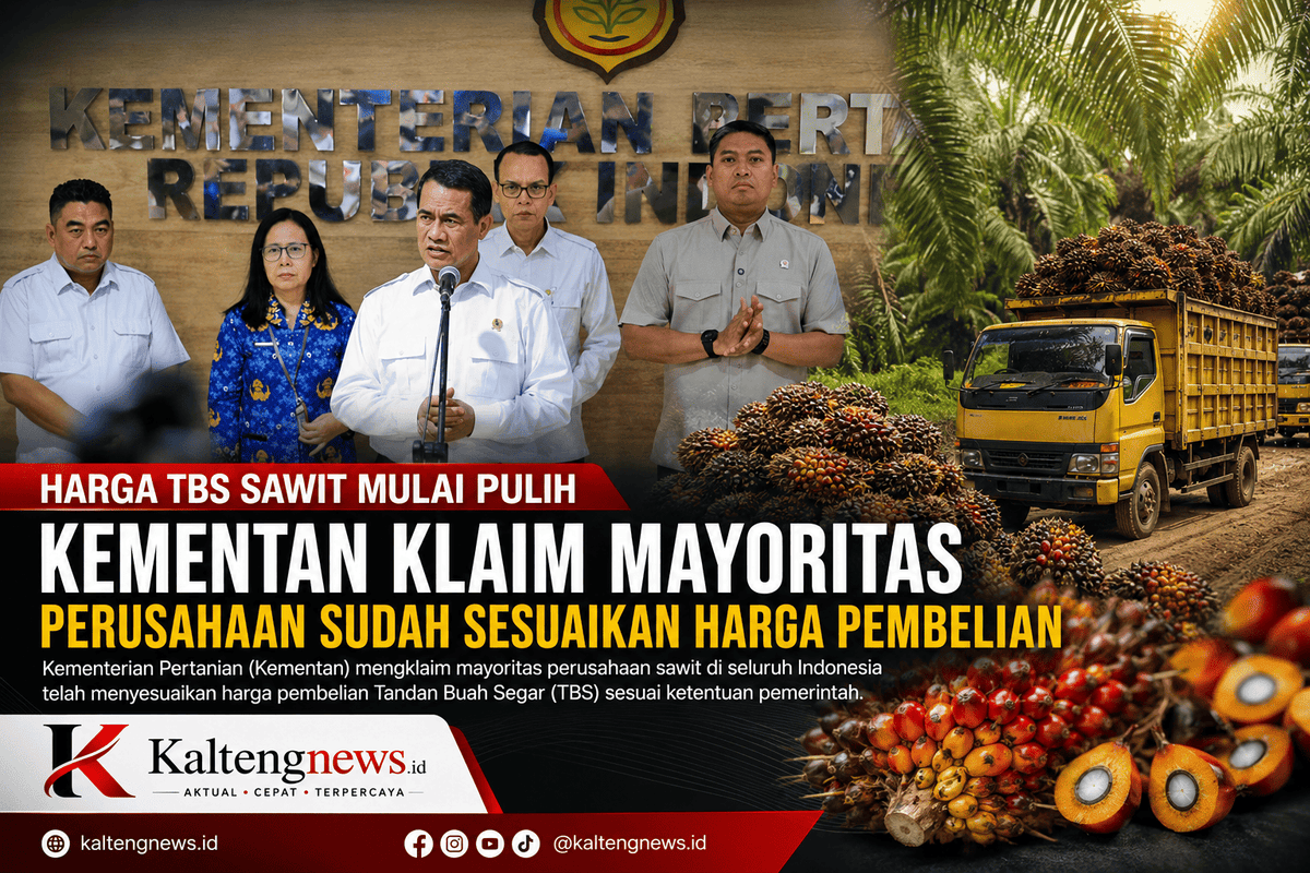 Harga TBS Sawit Mulai Pulih, Kementan Klaim Mayoritas Perusahaan Sudah Sesuaikan Harga Pembelian