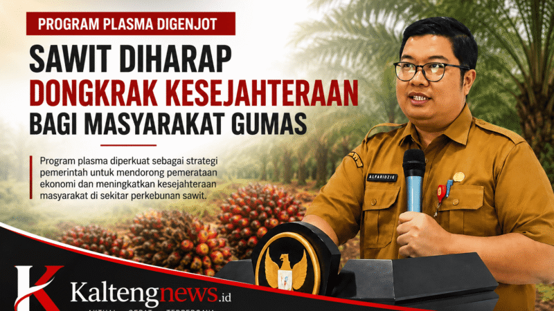 Program Plasma Digenjot, Sawit Diharapkan Dongkrak Kesejahteraan Warga Gunung Mas
