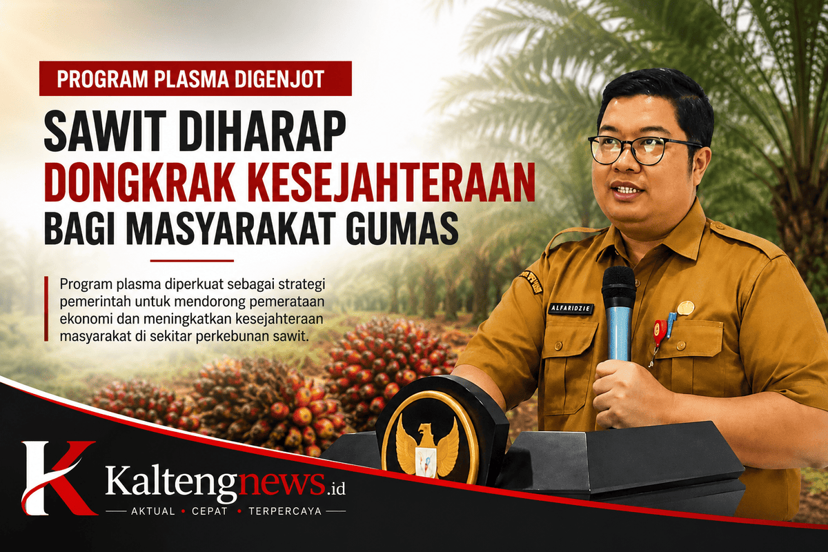 Program Plasma Digenjot, Sawit Diharapkan Dongkrak Kesejahteraan Warga Gunung Mas