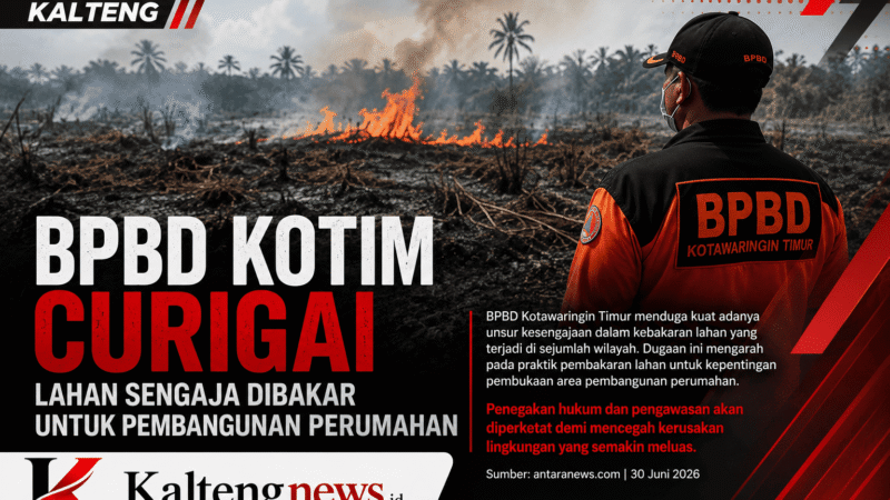 BPBD Kotim Curigai Karhutla Sengaja Dibakar untuk Proyek Perumahan