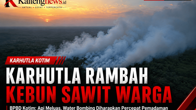 Karhutla Kotim Rambah Kebun Sawit Warga