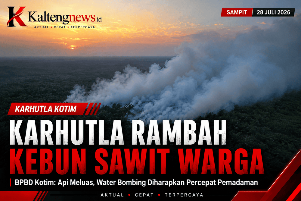 Karhutla Kotim Rambah Kebun Sawit Warga