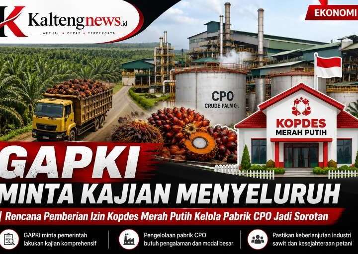 GAPKI Minta Kajian Menyeluruh Rencana Pemberian Izin Kopdes Merah Putih Kelola Pabrik CPO