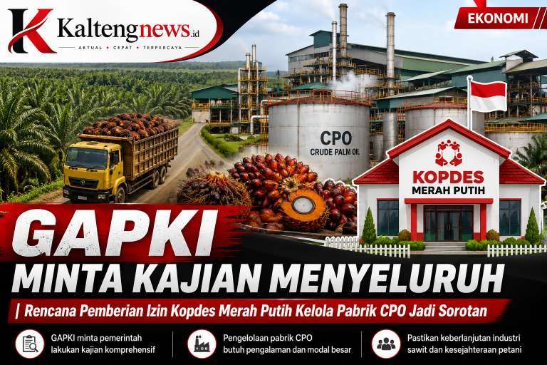 GAPKI Minta Kajian Menyeluruh Rencana Pemberian Izin Kopdes Merah Putih Kelola Pabrik CPO