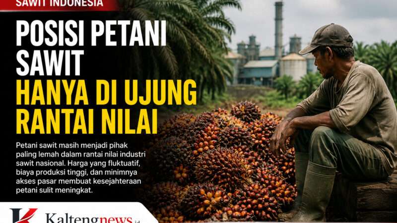 Petani Sawit Masih di Posisi Paling Lemah