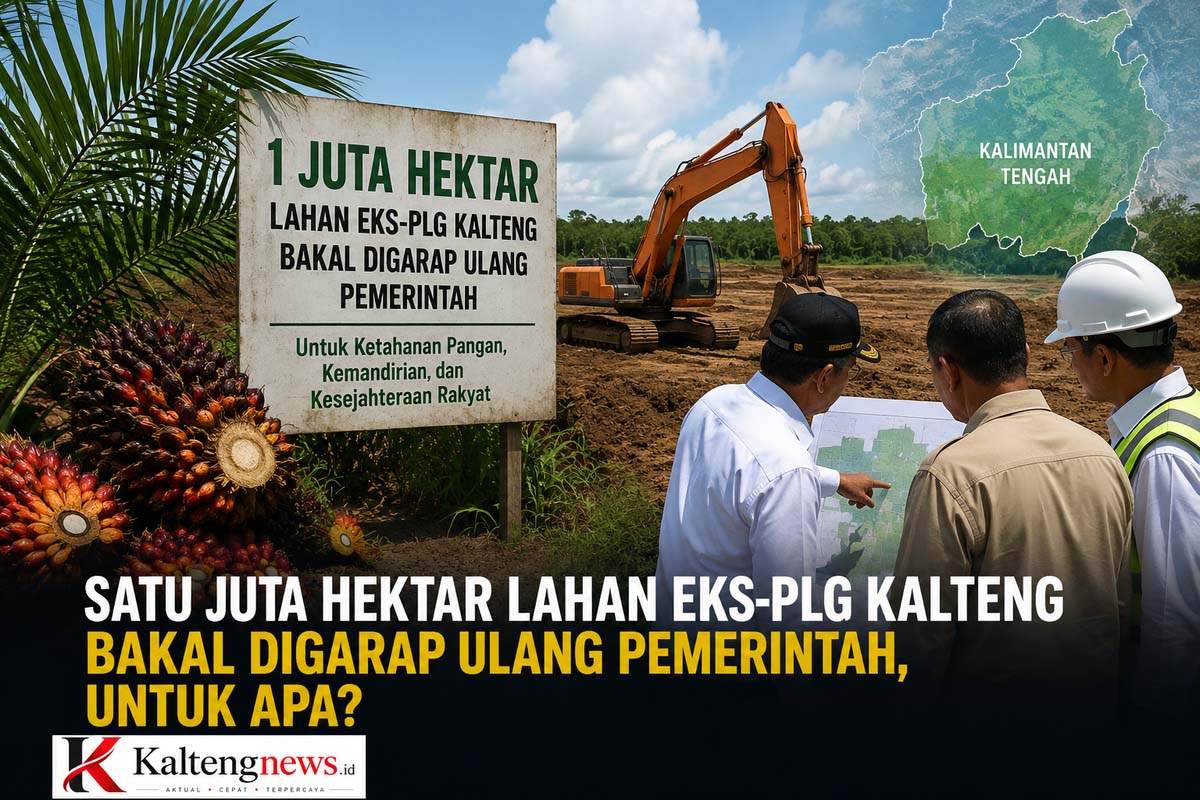 Pemerintah Siapkan Revitalisasi Eks PLG Kalteng, Satu Juta Hektare Lahan Kembali Jadi Prioritas