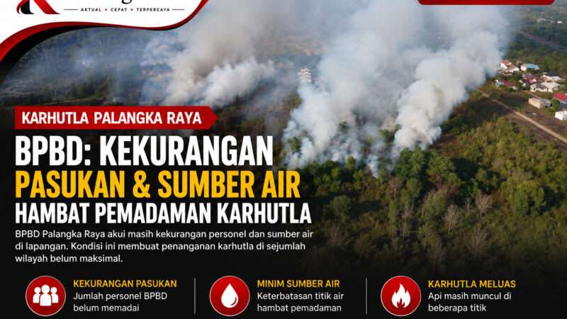 BPBD Palangka Raya Akui Kekurangan Personel dan Sumber Air untuk Padamkan Karhutla