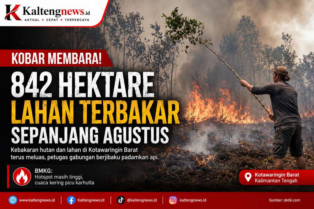 KOBAR MEMBARA, 842 HEKTARE LAHAN TERBAKAR SEPANJANG AGUSTUS