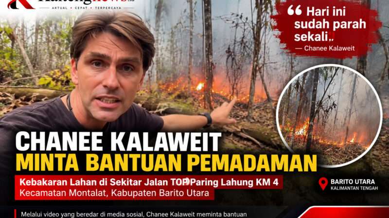 Karhutla Dekati Kawasan Konservasi Kalaweit, Chanee Minta Bantuan Pemadaman