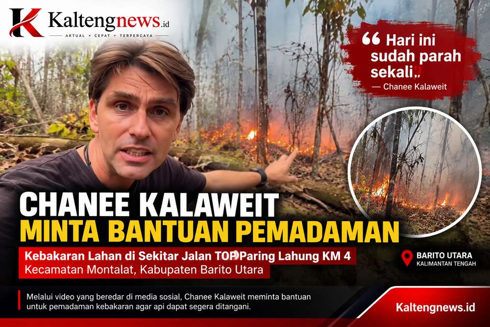 Karhutla Dekati Kawasan Konservasi Kalaweit, Chanee Minta Bantuan Pemadaman