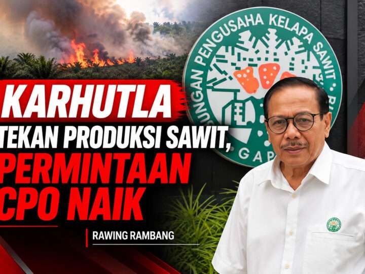 Rawing Rambang: KARHUTLA Tekan Produksi Sawit, Permintaan CPO Naik
