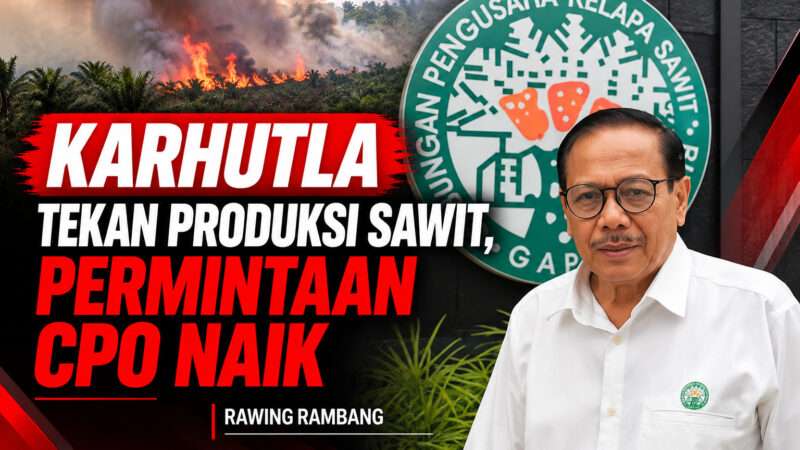 Rawing Rambang: KARHUTLA Tekan Produksi Sawit, Permintaan CPO Naik