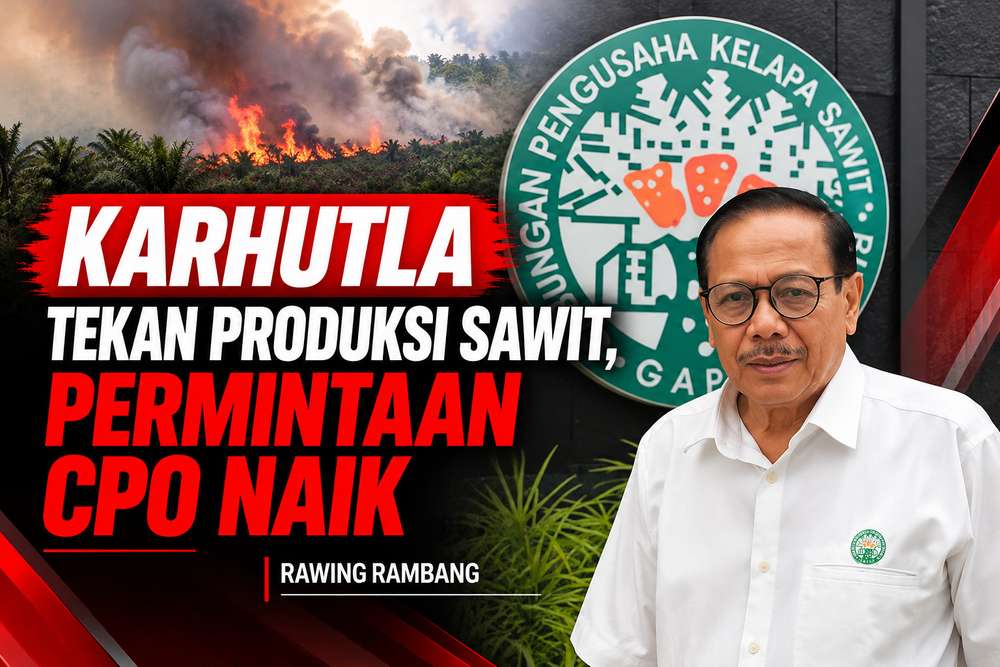 Rawing Rambang: KARHUTLA Tekan Produksi Sawit, Permintaan CPO Naik