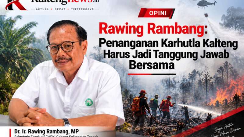 Rawing Rambang: Penanganan Karhutla Kalteng Harus Jadi Tanggung Jawab Bersama