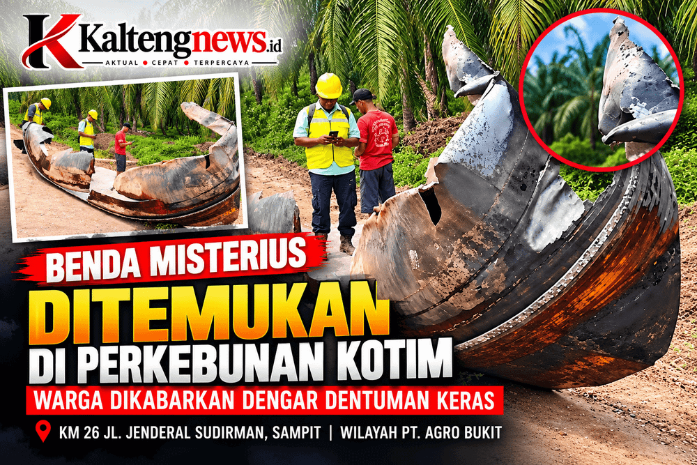 Heboh Benda Misterius Ditemukan di Perkebunan Kotim, Warga Dikabarkan Dengar Dentuman Keras