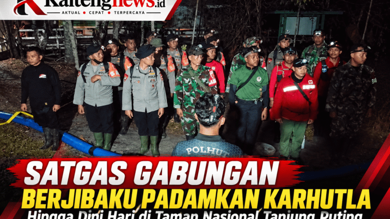 Satgas Gabungan Berjibaku Padamkan Karhutla hingga Dini Hari di TNTP