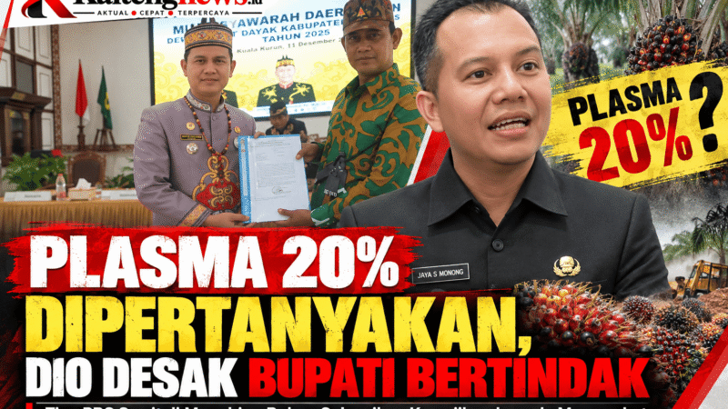PLASMA 20% DIPERTANYAKAN, DIO DESAK BUPATI BERTINDAK