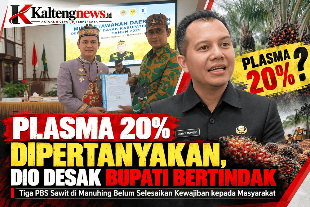 PLASMA 20% DIPERTANYAKAN, DIO DESAK BUPATI BERTINDAK