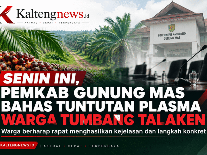 Senin Ini, Pemkab Gunung Mas Bahas Tuntutan Plasma Warga Tumbang Talaken
