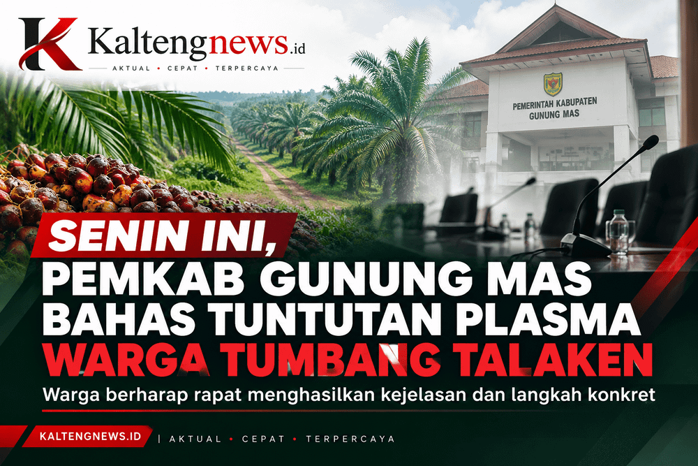 Senin Ini, Pemkab Gunung Mas Bahas Tuntutan Plasma Warga Tumbang Talaken
