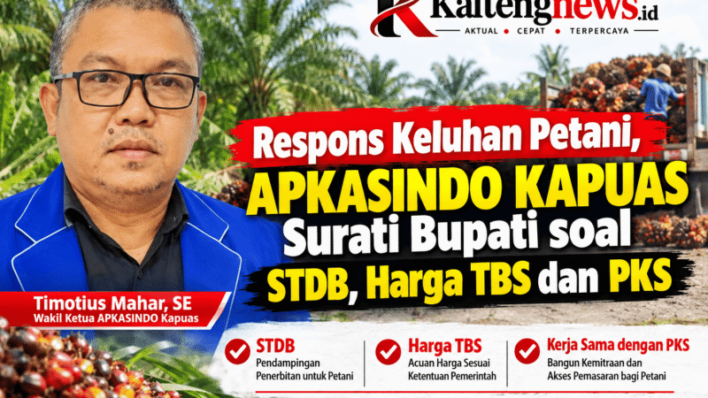 Respons Keluhan Petani, APKASINDO Kapuas Surati Bupati soal STDB, Harga TBS dan PKS