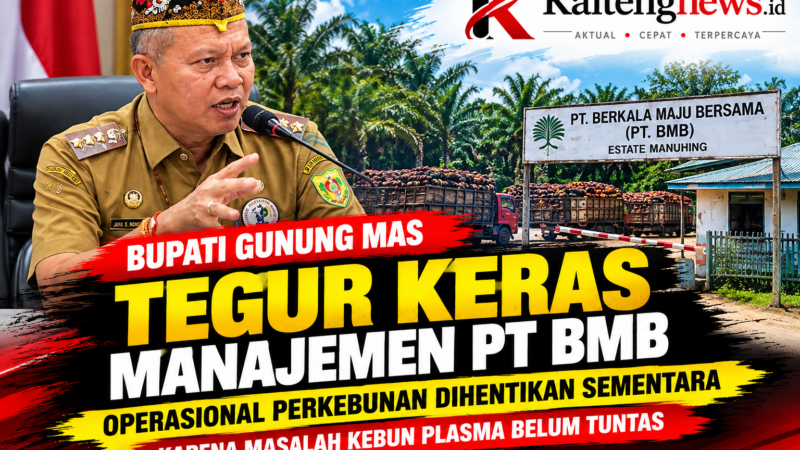 Bupati Gunung Mas Tegur Keras Manajemen PT BMB, Operasional Perkebunan Dihentikan Sementara