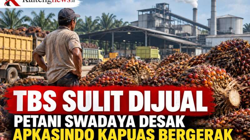 TBS Sulit Dijual, Petani Swadaya Desak APKASINDO Kapuas Bergerak