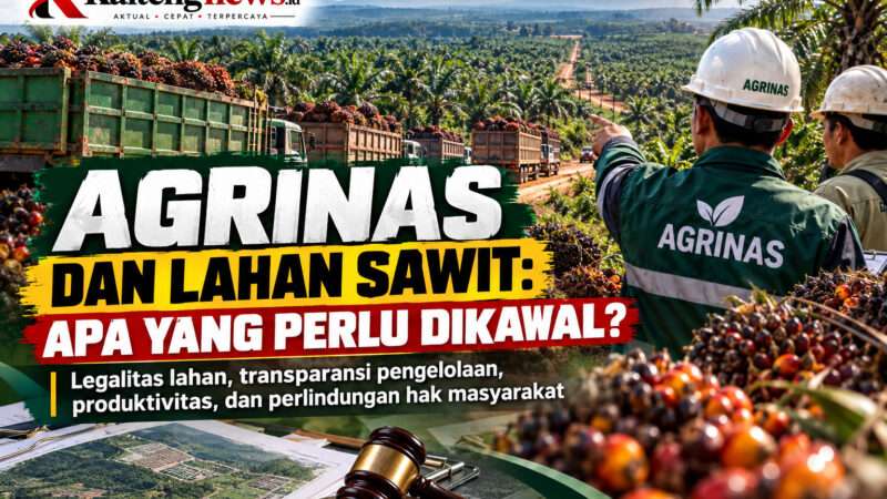 AGRINAS DAN LAHAN SAWIT: SIAPA YANG DIUNTUNGKAN, BAGAIMANA HAK RAKYAT DILINDUNGI?