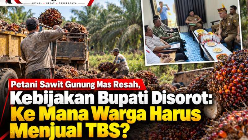 Petani Sawit Gunung Mas Resah, Kebijakan Bupati Disorot: Ke Mana Warga Harus Menjual TBS?