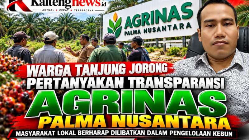 Warga Tanjung Jorong Pertanyakan Transparansi Agrinas, Masyarakat Lokal Berharap Dilibatkan dalam Pengelolaan Kebun