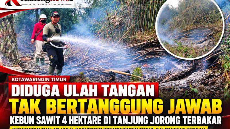Diduga Ulah Tangan Tak Bertanggung Jawab, Kebun Sawit 4 Hektare di Tanjung Jorong Terbakar