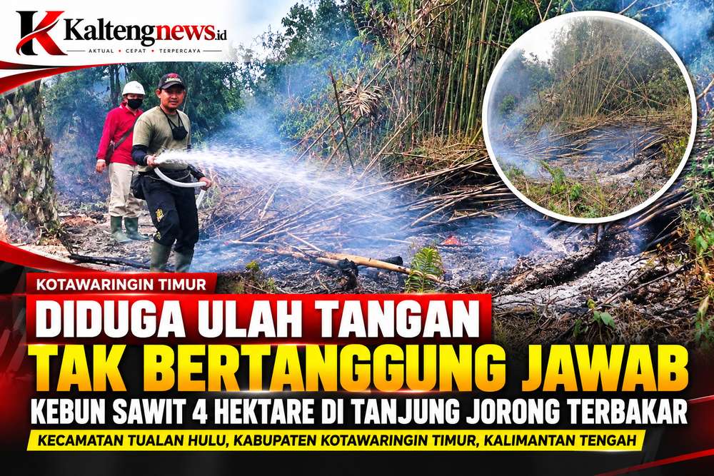 Diduga Ulah Tangan Tak Bertanggung Jawab, Kebun Sawit 4 Hektare di Tanjung Jorong Terbakar