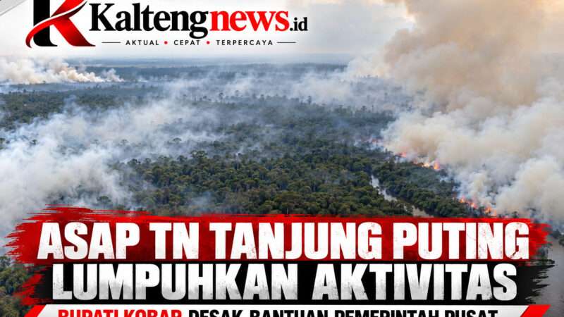 ASAP KARHUTLA KEPUNG TANJUNG PUTING, AKTIVITAS WARGA TERGANGGU, BUPATI KOBAR DESAK BANTUAN PUSAT