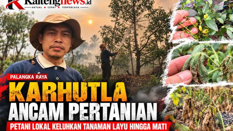 Karhutla Berdampak pada Petani Lokal, Kebon Pedia Keluhkan Tanaman Layu hingga Mati